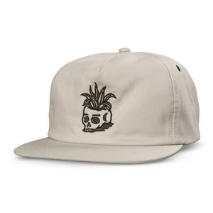 Sendero Provisions Muertos hat